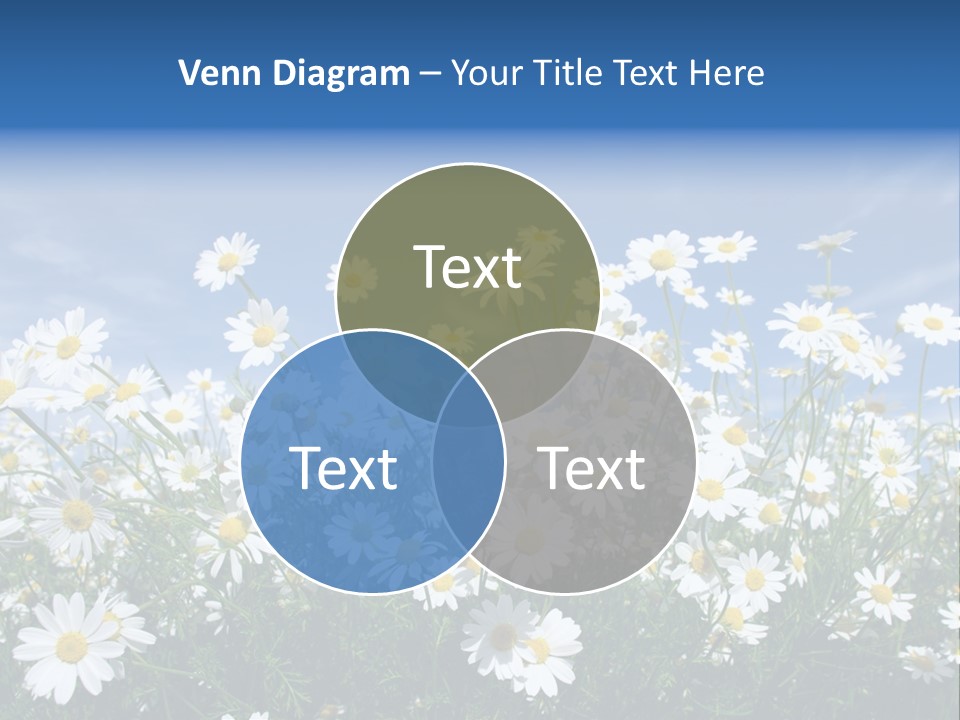 Design Scenery Close PowerPoint Template