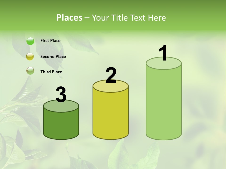 Group Beautiful Decoration PowerPoint Template