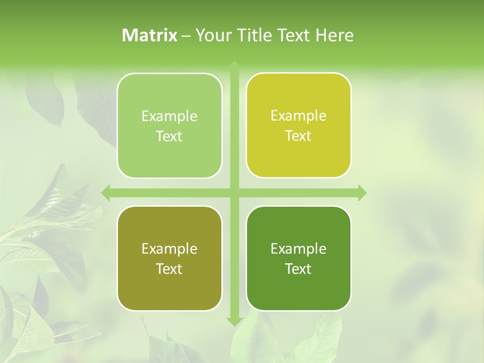 Group Beautiful Decoration PowerPoint Template