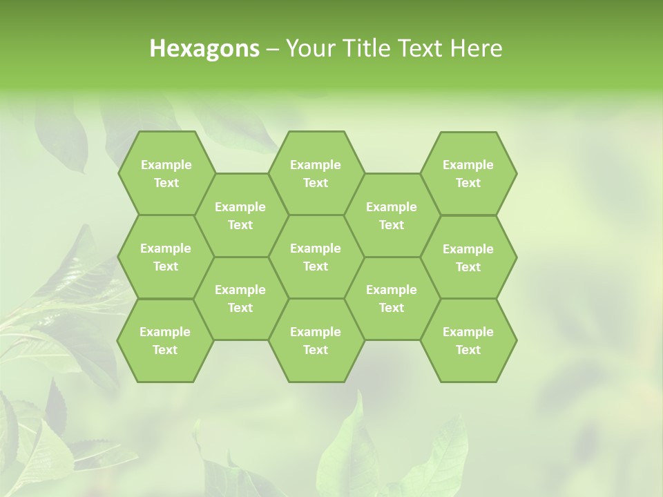 Group Beautiful Decoration PowerPoint Template