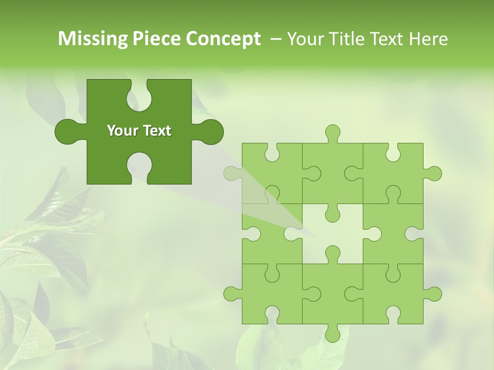 Group Beautiful Decoration PowerPoint Template