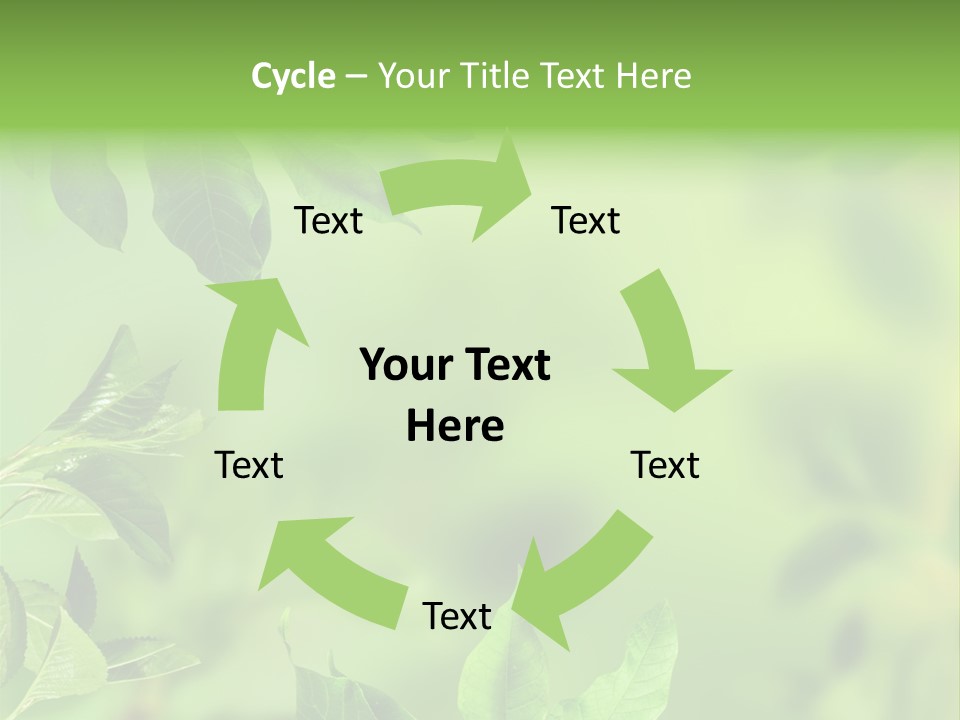 Group Beautiful Decoration PowerPoint Template