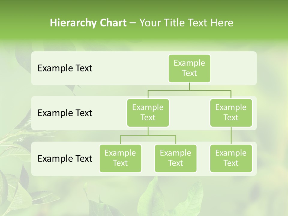 Group Beautiful Decoration PowerPoint Template