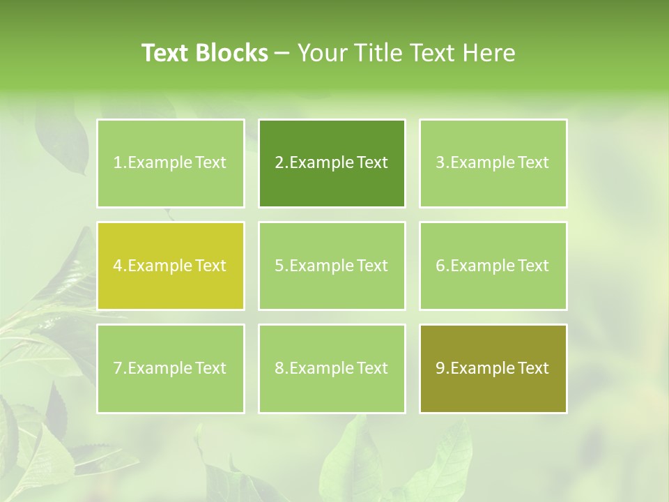 Group Beautiful Decoration PowerPoint Template