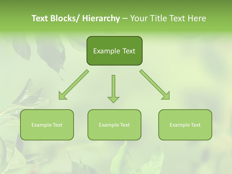 Group Beautiful Decoration PowerPoint Template
