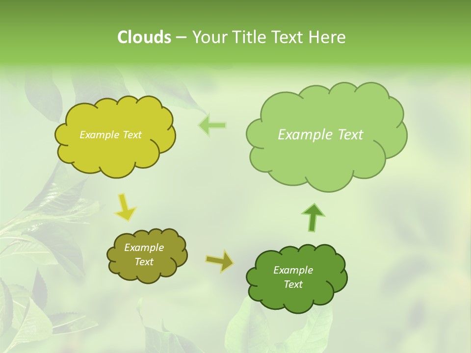 Group Beautiful Decoration PowerPoint Template