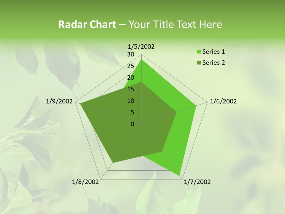 Group Beautiful Decoration PowerPoint Template