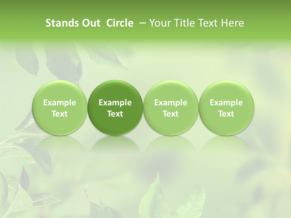 Group Beautiful Decoration PowerPoint Template