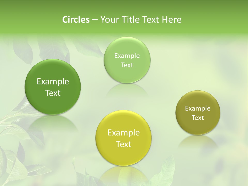 Group Beautiful Decoration PowerPoint Template