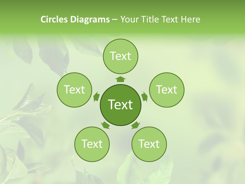 Group Beautiful Decoration PowerPoint Template