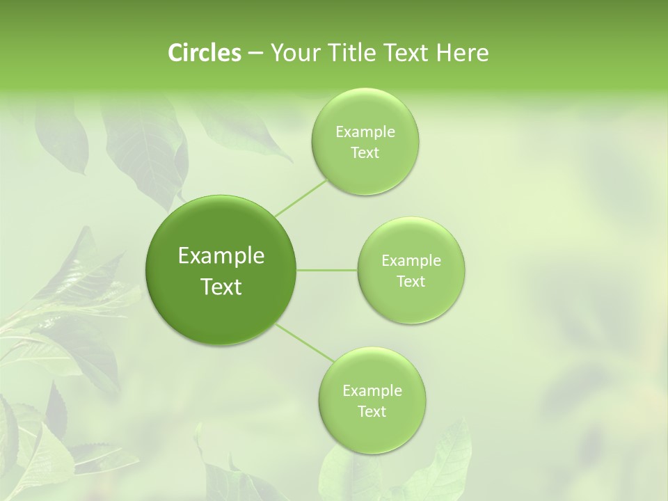 Group Beautiful Decoration PowerPoint Template