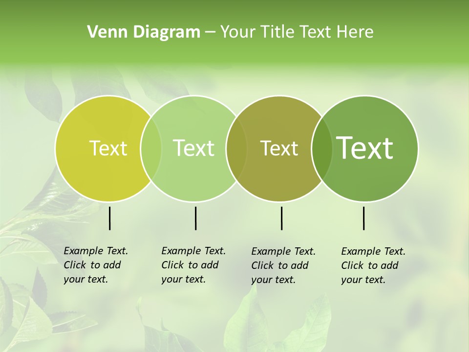 Group Beautiful Decoration PowerPoint Template