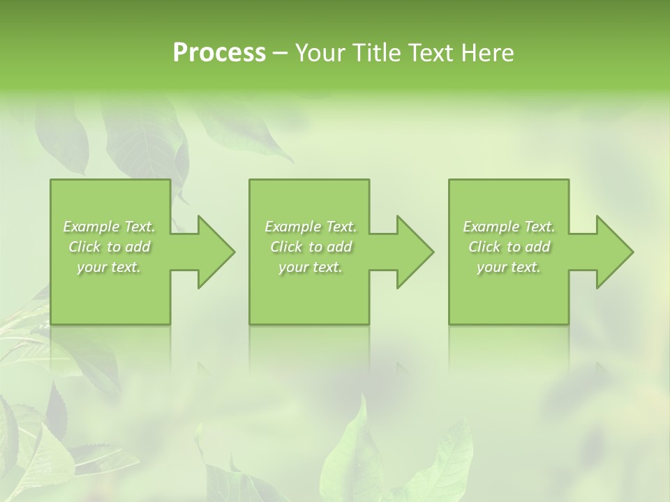 Group Beautiful Decoration PowerPoint Template