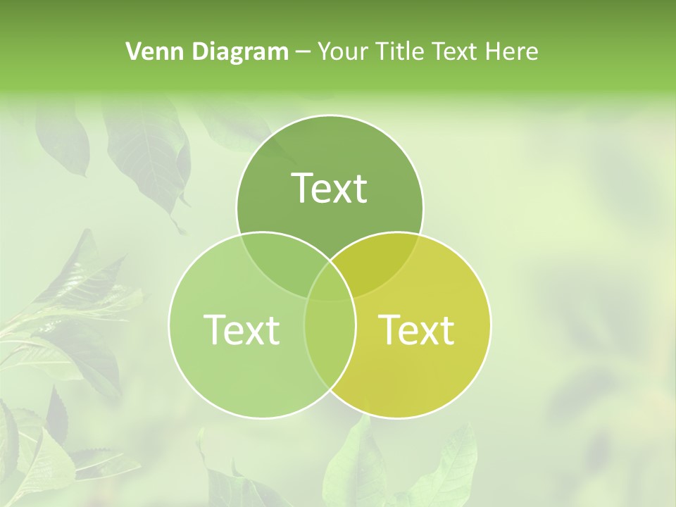 Group Beautiful Decoration PowerPoint Template