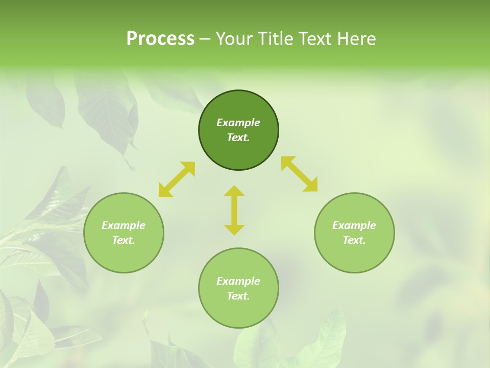Group Beautiful Decoration PowerPoint Template