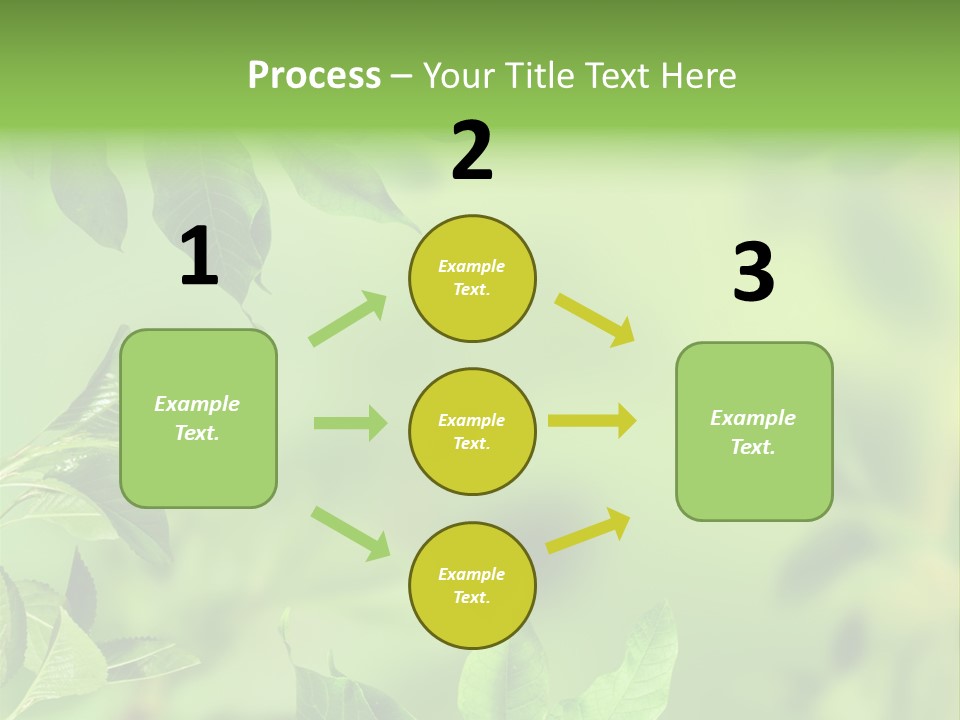 Group Beautiful Decoration PowerPoint Template