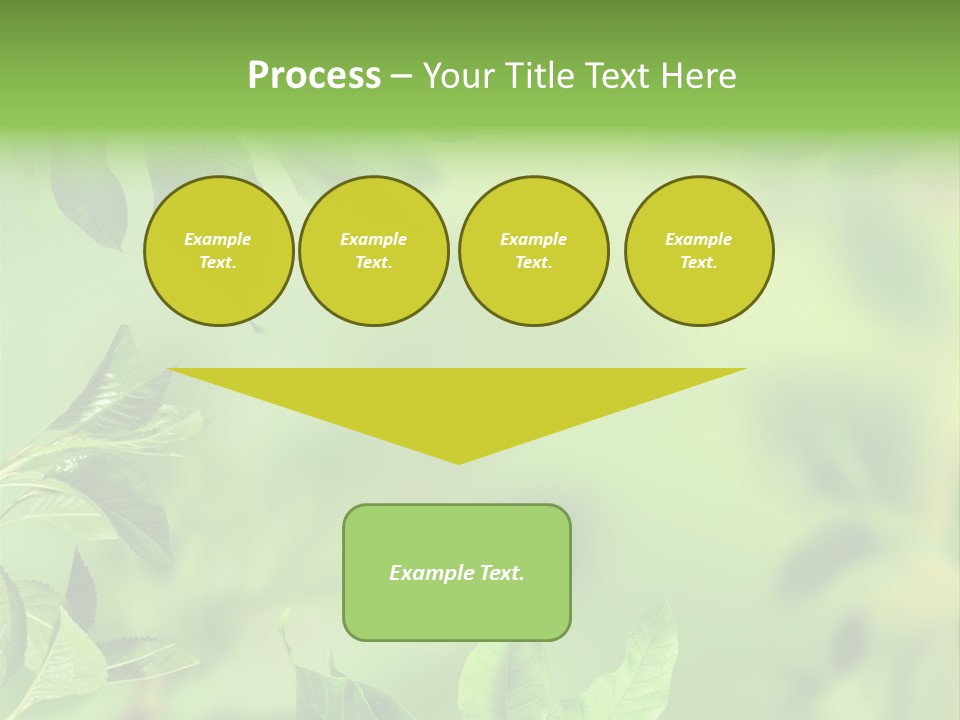 Group Beautiful Decoration PowerPoint Template
