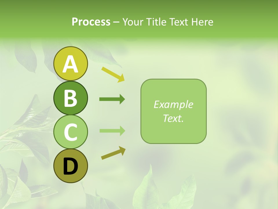 Group Beautiful Decoration PowerPoint Template