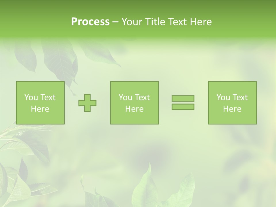 Group Beautiful Decoration PowerPoint Template