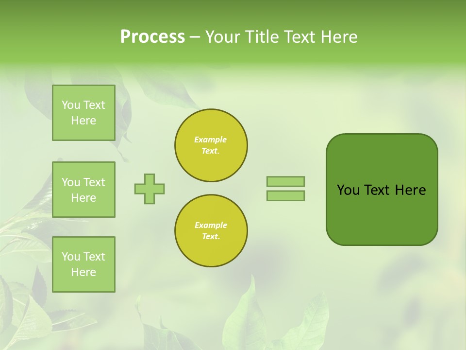 Group Beautiful Decoration PowerPoint Template