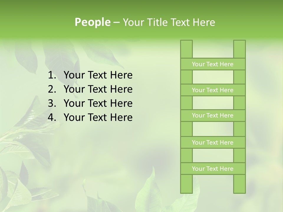Group Beautiful Decoration PowerPoint Template
