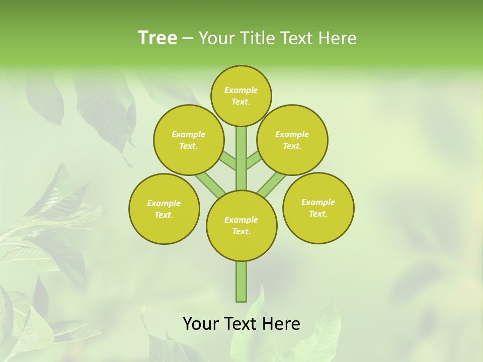 Group Beautiful Decoration PowerPoint Template