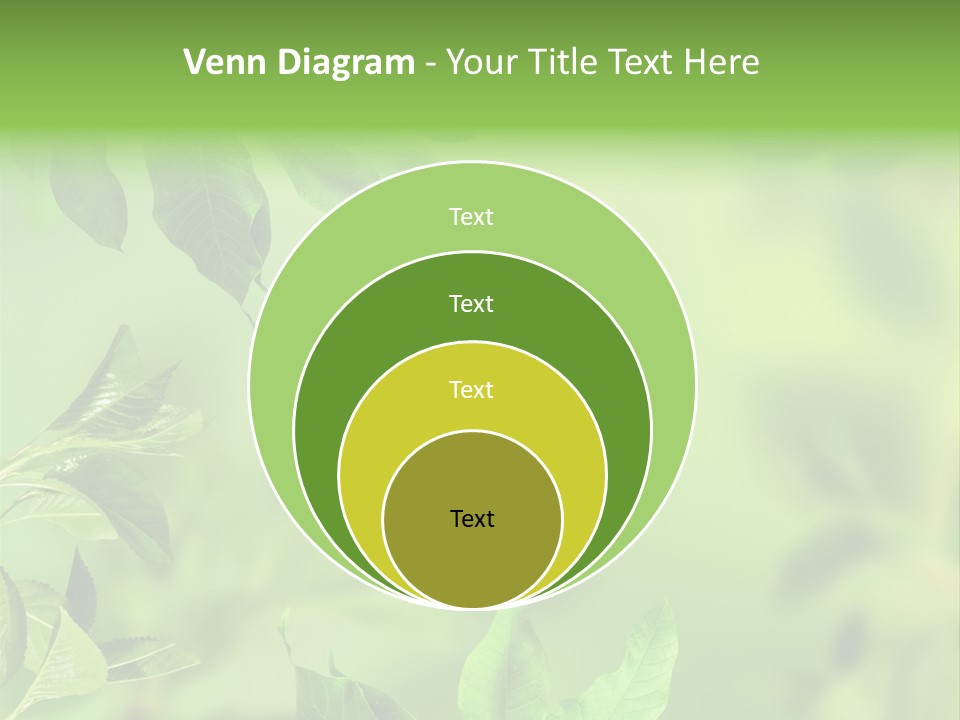 Group Beautiful Decoration PowerPoint Template