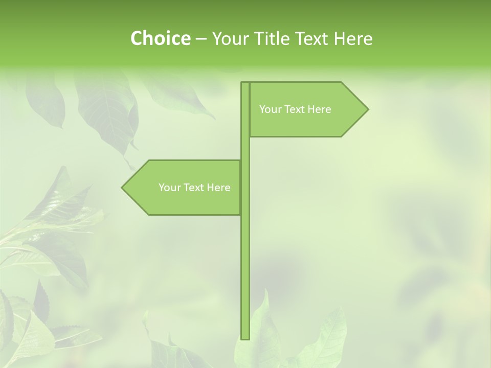 Group Beautiful Decoration PowerPoint Template