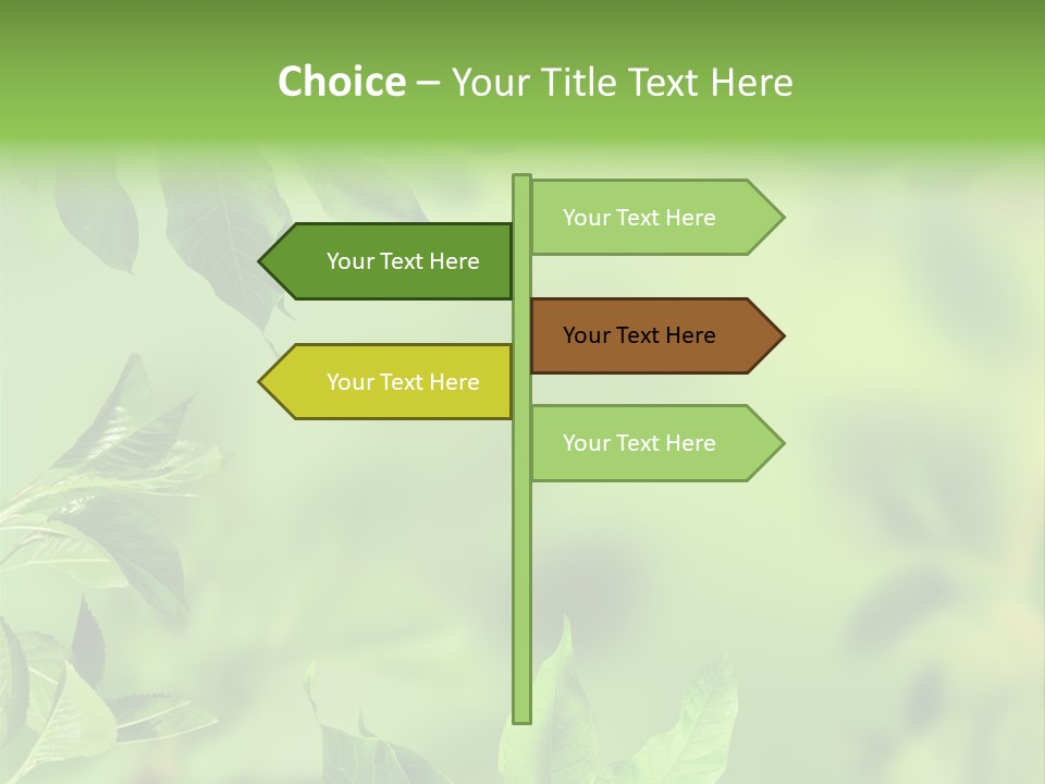 Group Beautiful Decoration PowerPoint Template