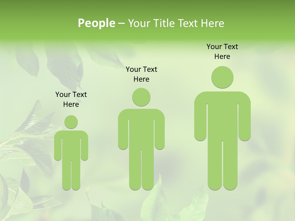 Group Beautiful Decoration PowerPoint Template