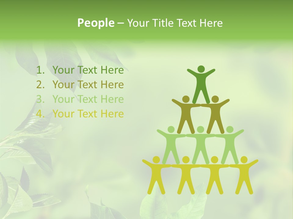 Group Beautiful Decoration PowerPoint Template