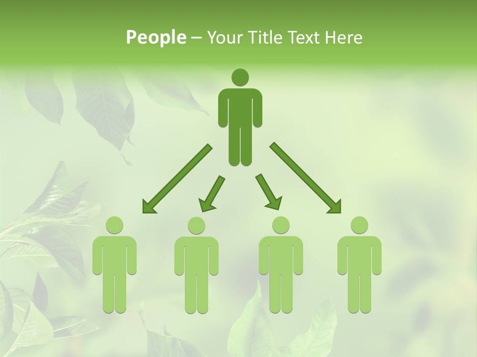 Group Beautiful Decoration PowerPoint Template