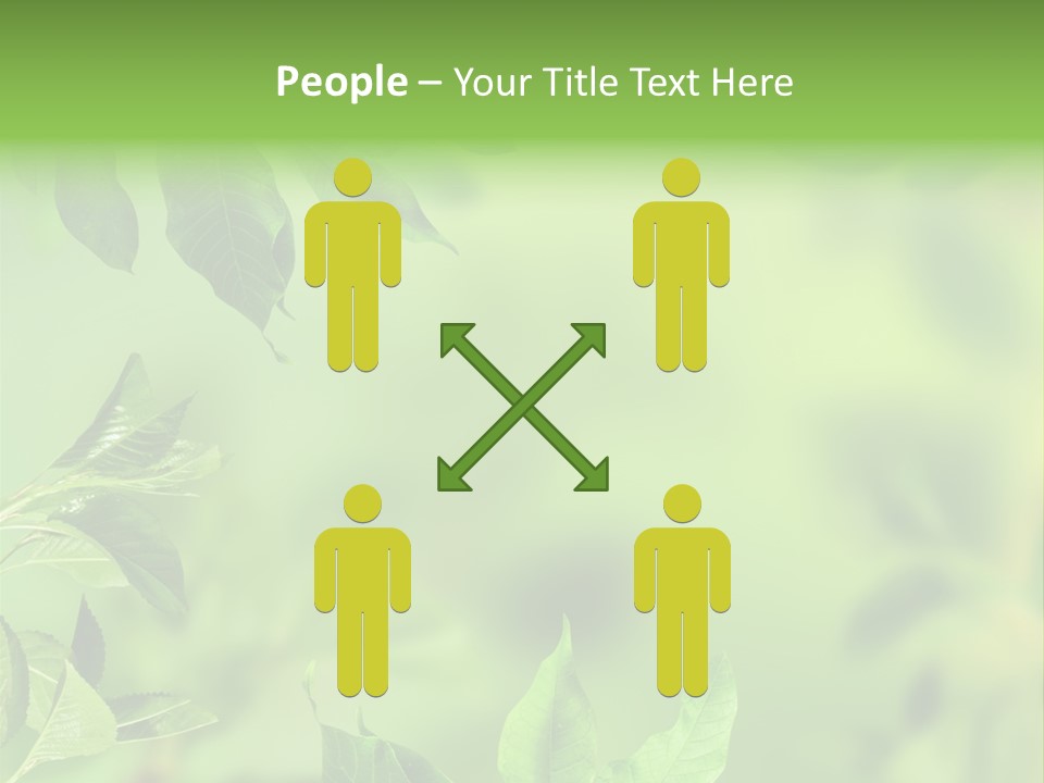 Group Beautiful Decoration PowerPoint Template