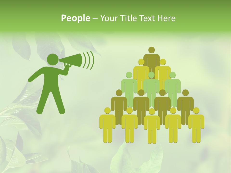 Group Beautiful Decoration PowerPoint Template