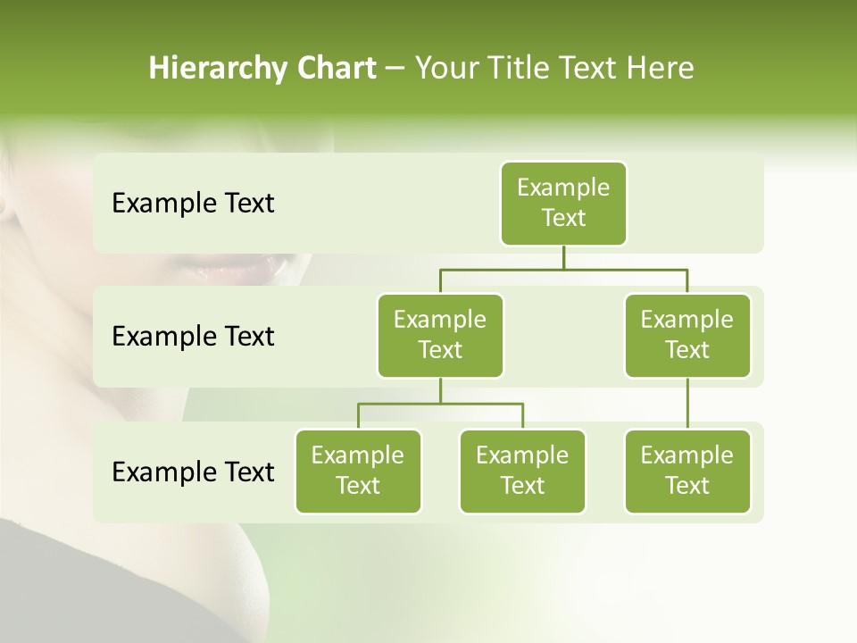 Shine Beautiful Fresh PowerPoint Template