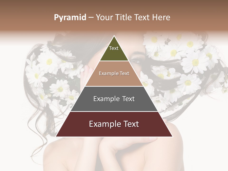 Chamomile Glamour Brown Hair PowerPoint Template