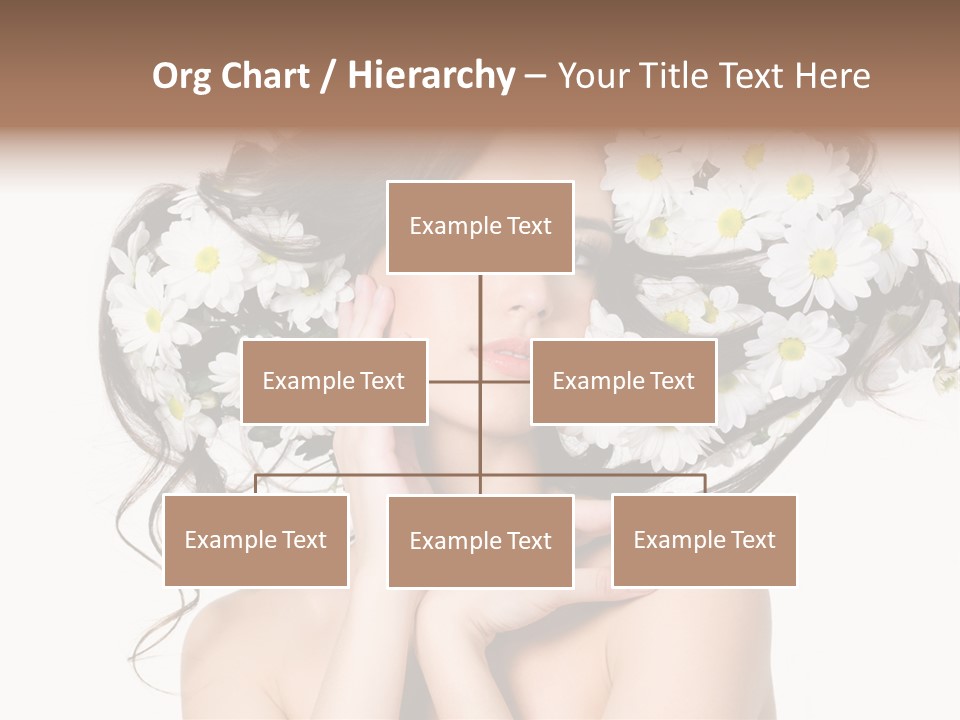 Chamomile Glamour Brown Hair PowerPoint Template