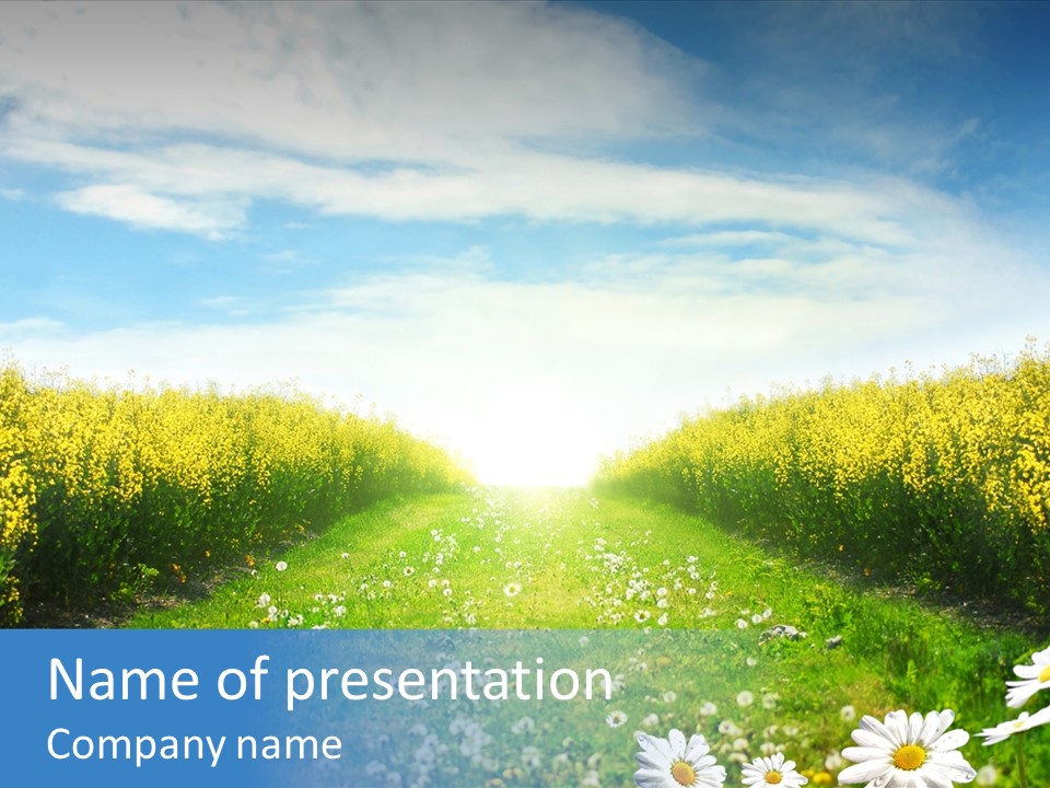 Wildflower Horizon Scene PowerPoint Template