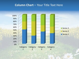 Wildflower Horizon Scene PowerPoint Template