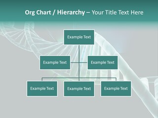 One Abstract Spiral PowerPoint Template