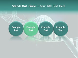 One Abstract Spiral PowerPoint Template