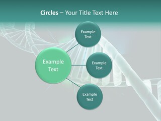 One Abstract Spiral PowerPoint Template