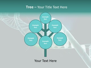 One Abstract Spiral PowerPoint Template
