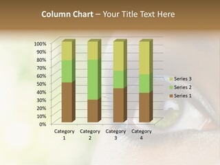 Clean Treatment Eyelash PowerPoint Template