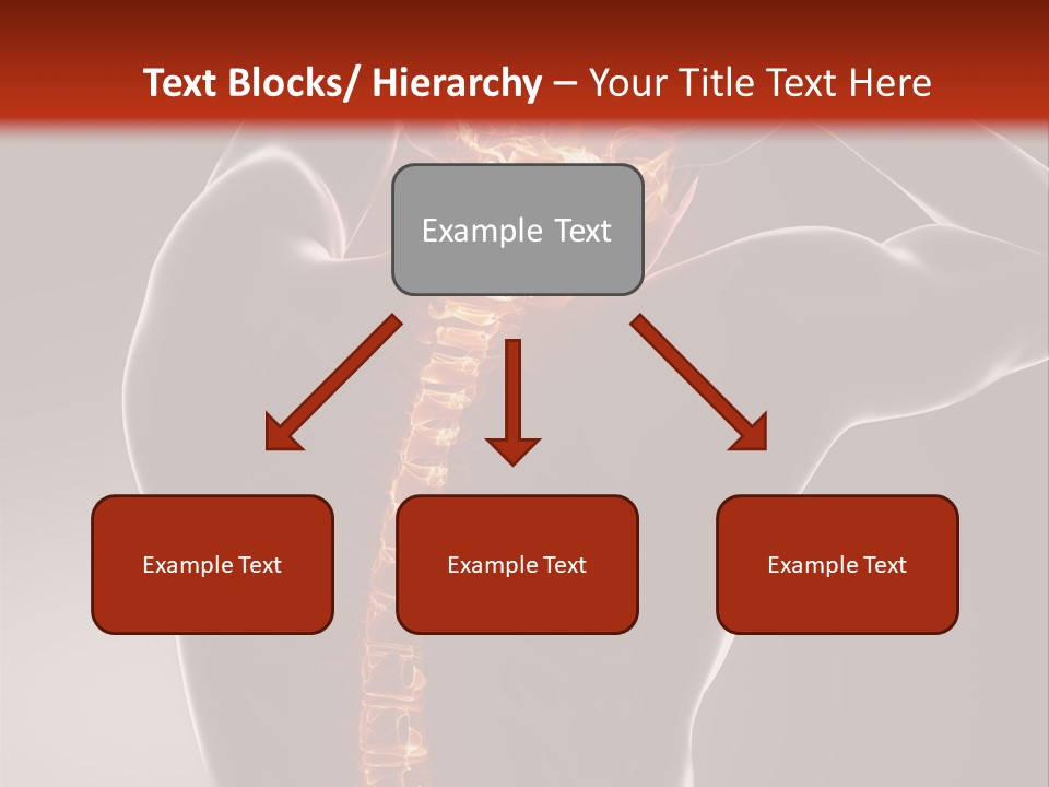 Trauma Ray Skeleton PowerPoint Template