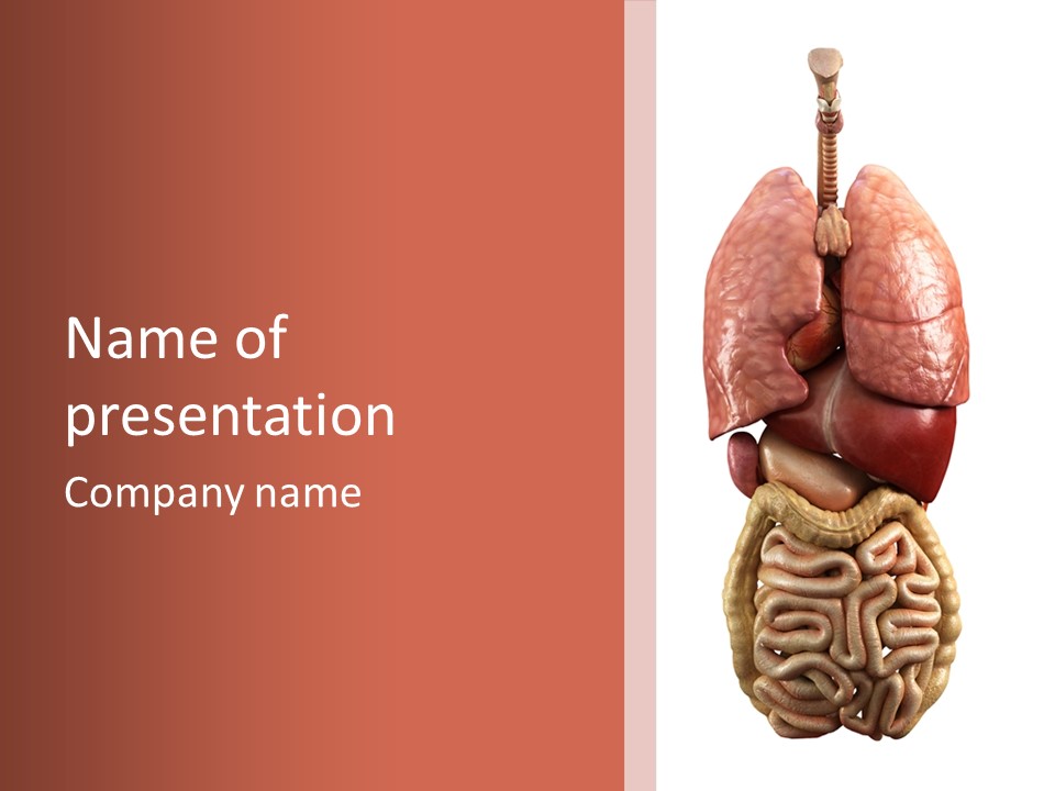 Lung Anatomical Care PowerPoint Template