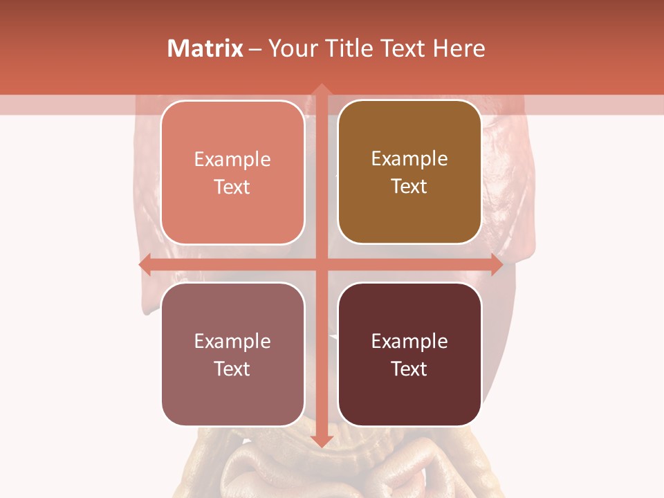 Lung Anatomical Care PowerPoint Template