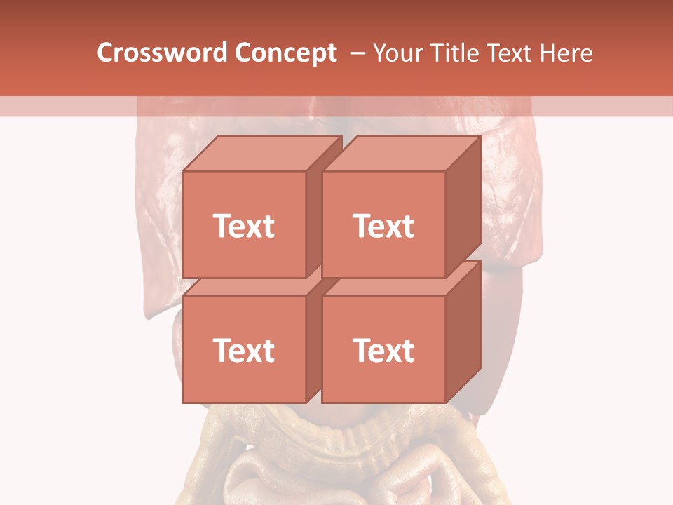 Lung Anatomical Care PowerPoint Template