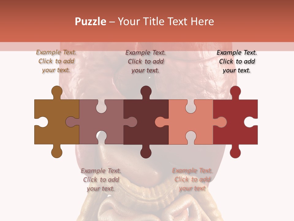 Lung Anatomical Care PowerPoint Template