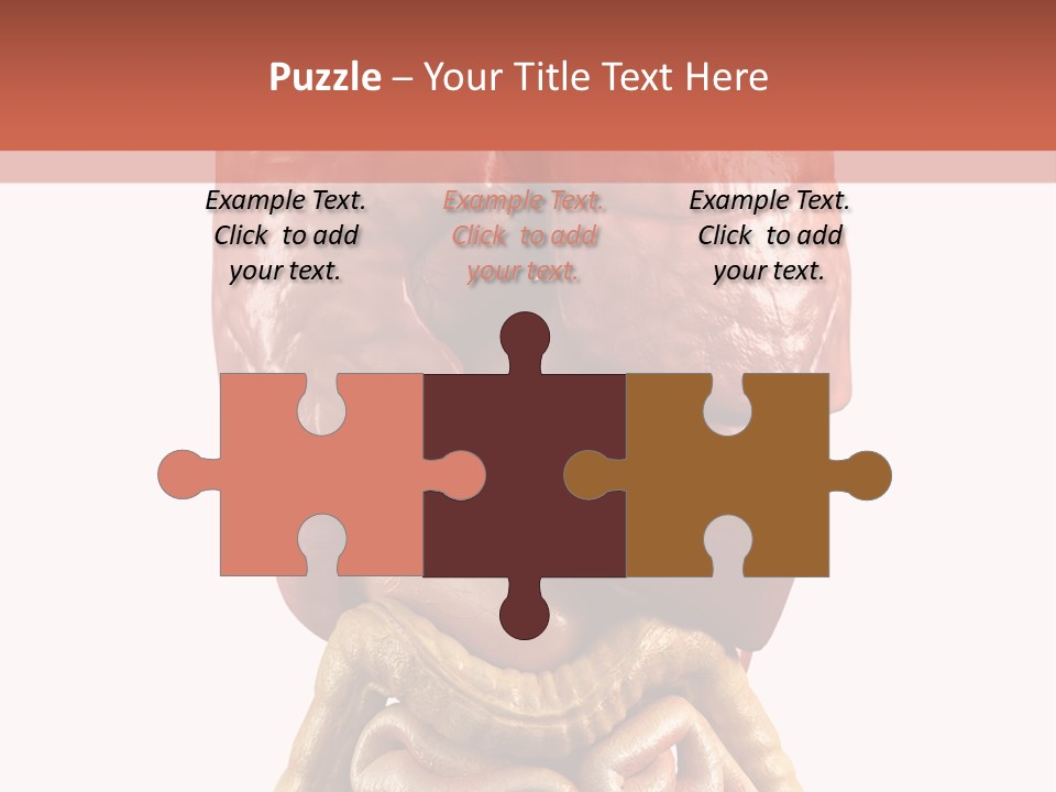 Lung Anatomical Care PowerPoint Template